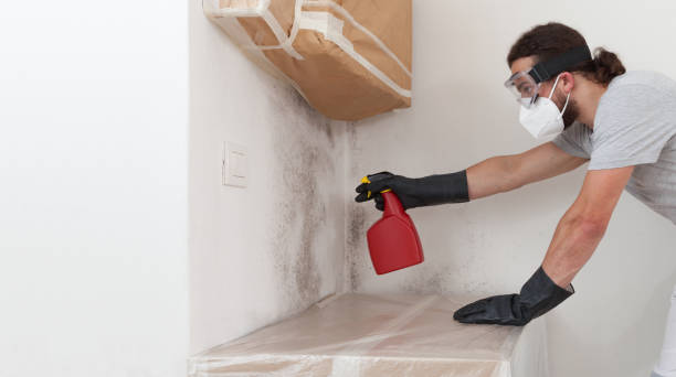 Professional Mold Testing technician working in Woodmere, NY