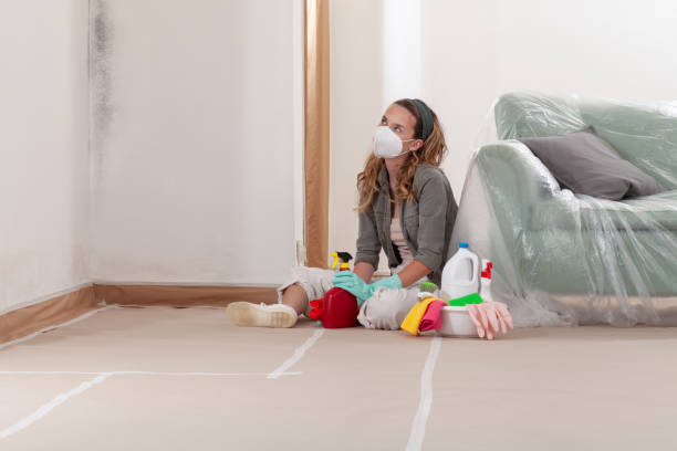 Reliable Mold Testing contractor in Woodmere, NY by WQB Mold Removal